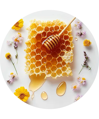 ECO-маникюр eco-manikyur_karusel